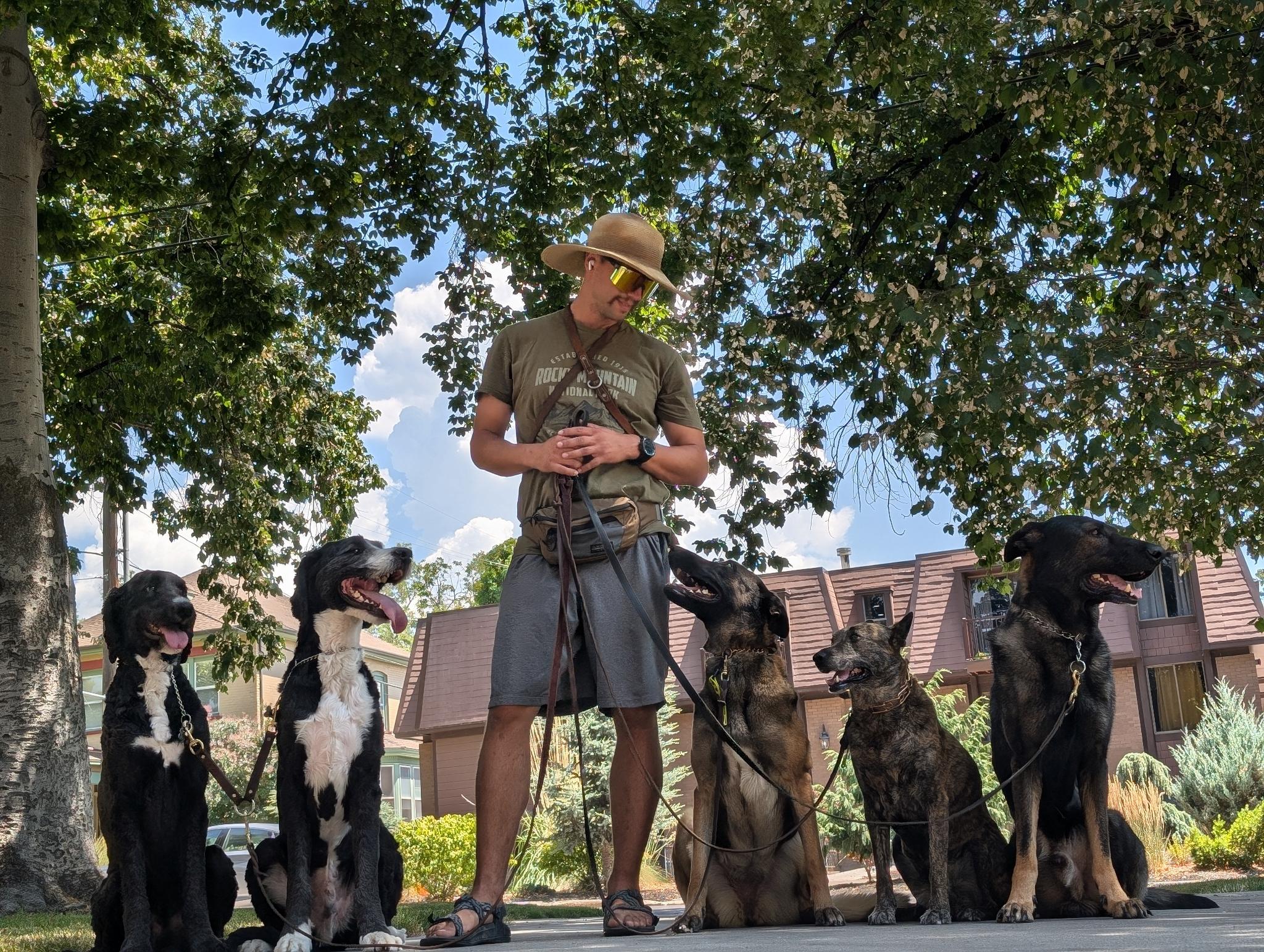 salt lake city dog training